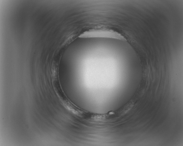 X0000080110084200612301955