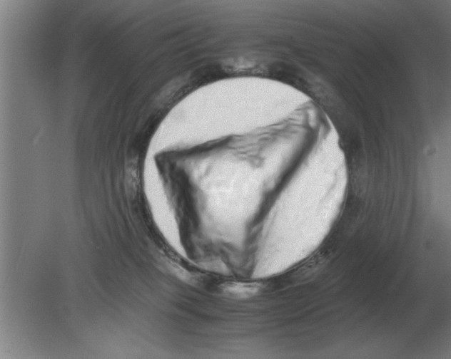 X0000080110085200612301955