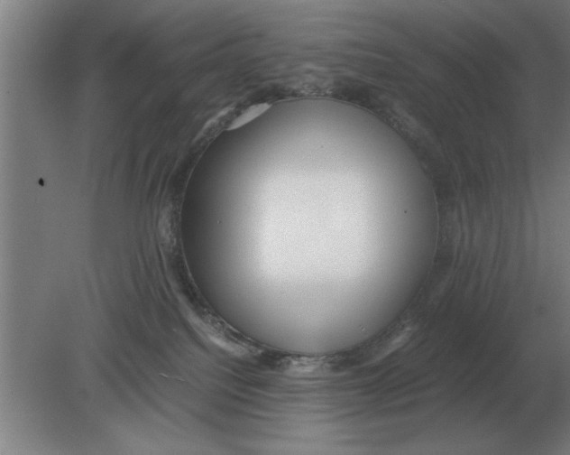 X0000080110088200612301955