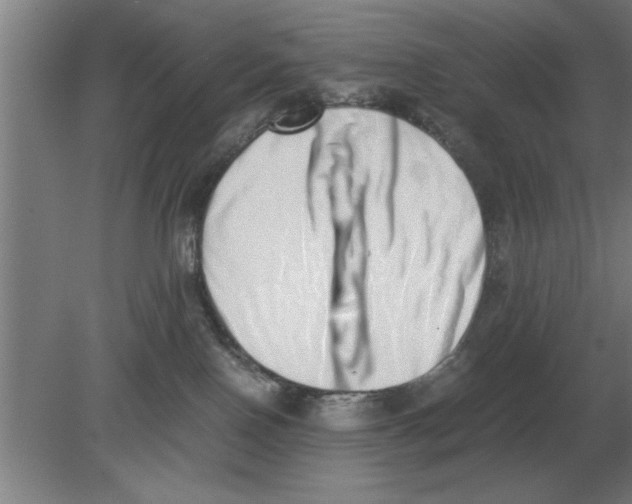 X0000080110090200612301955