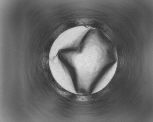 X0000080110091200612301955