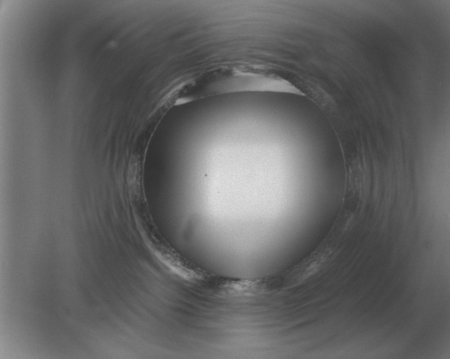 X0000080110092200612301955