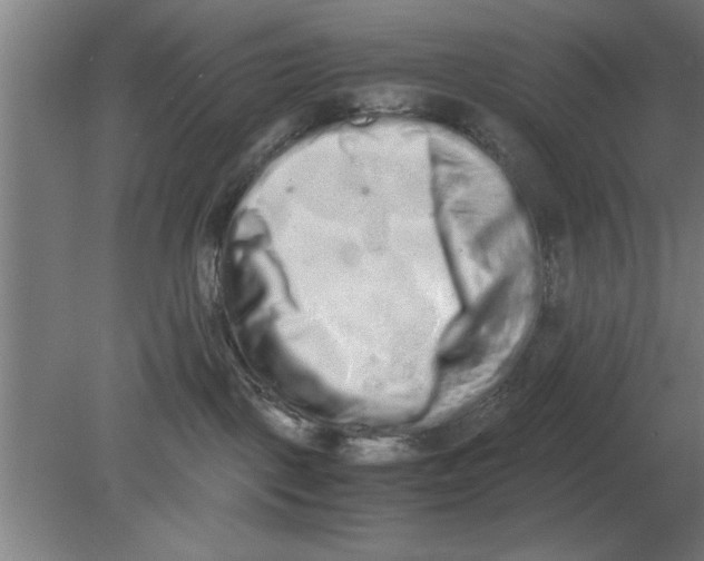 X0000080110093200612301955