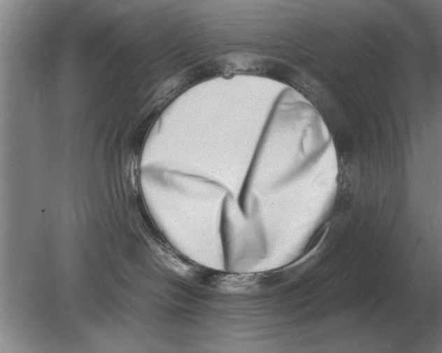 X0000080110094200612301955