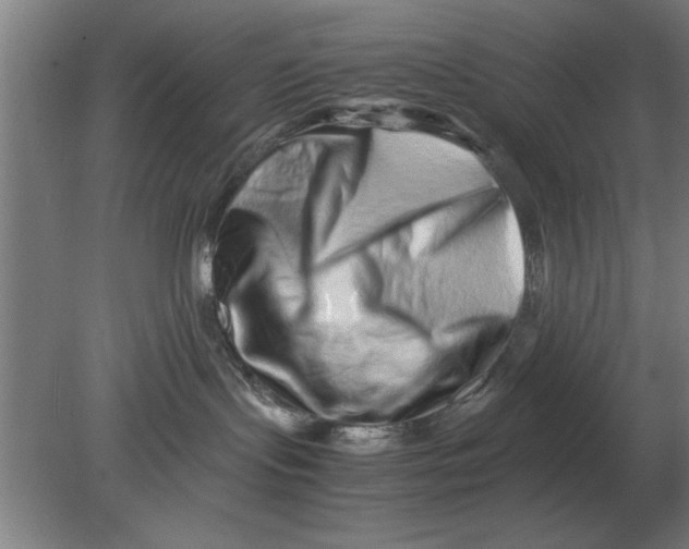 X0000080110095200612301955