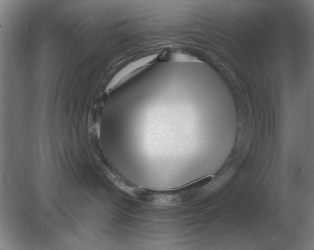 X0000080110096200612301955