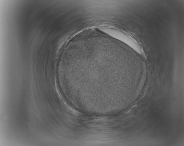 X0000080110097200612301954