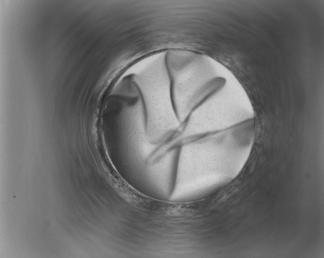 X0000080110098200612301954