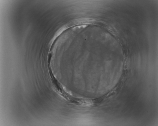 X0000080110099200612301954