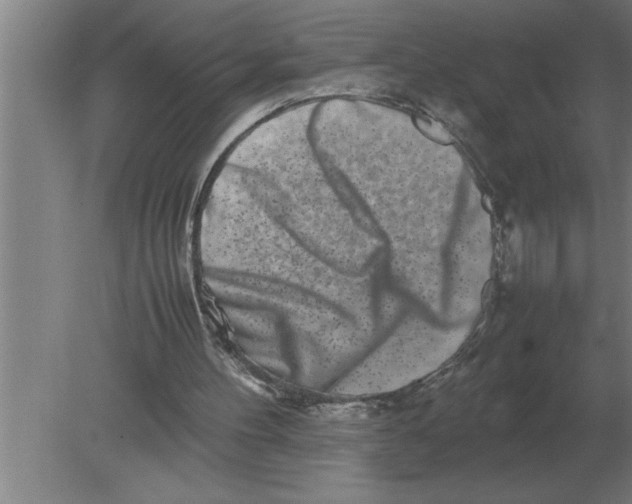 X0000080110100200612301954