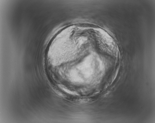 X0000080110103200612301954