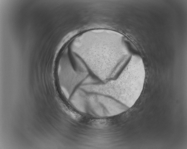 X0000080110104200612301954