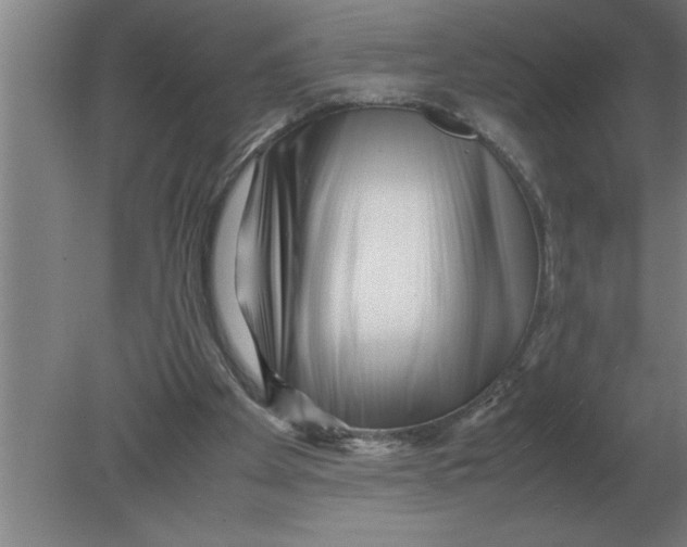 X0000080110105200612301954