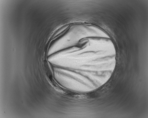 X0000080110107200612301954