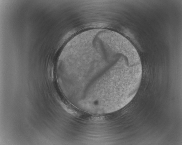 X0000080110110200612301954