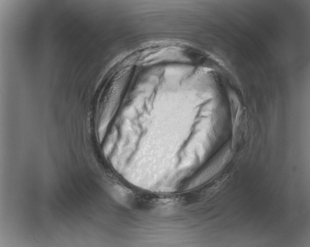 X0000080110111200612301954