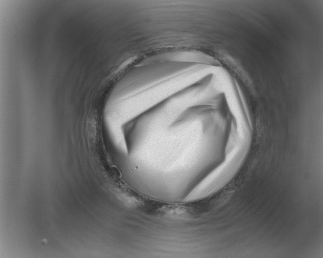 X0000080110113200612301954