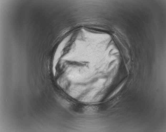 X0000080110115200612301954