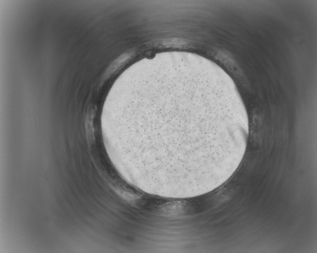 X0000080110116200612301954