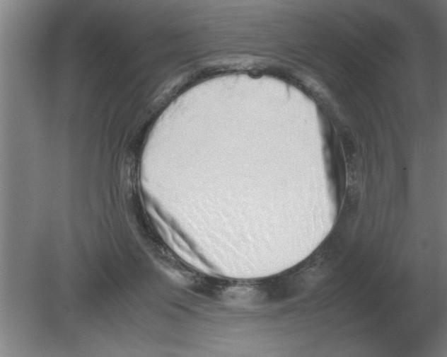 X0000080110119200612301954