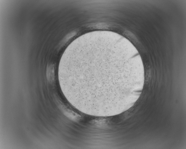 X0000080110120200612301954