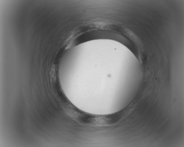 X0000080110121200612301954