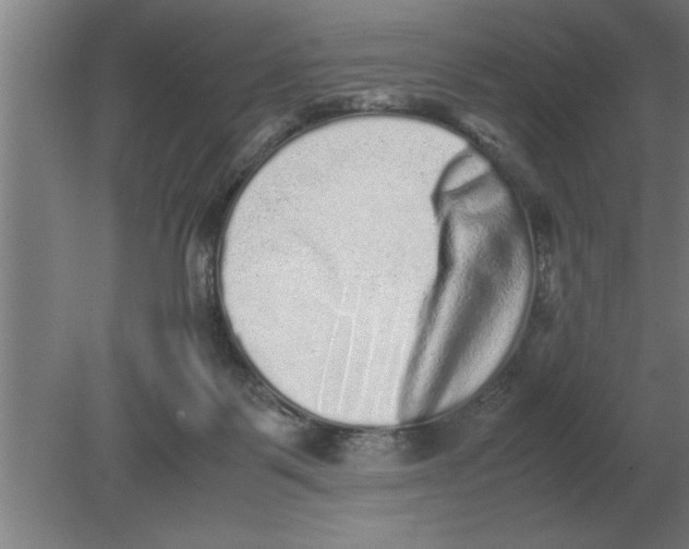 X0000080110123200612301954