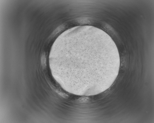 X0000080110124200612301954