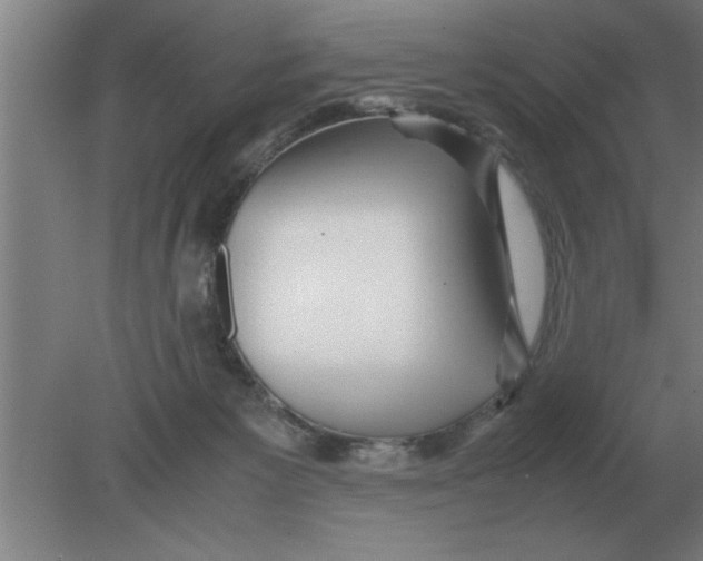 X0000080110125200612301954