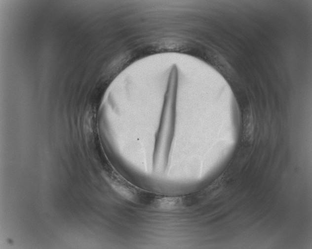 X0000080110126200612301953