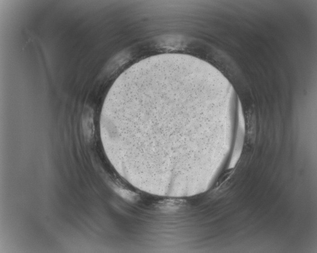 X0000080110128200612301953