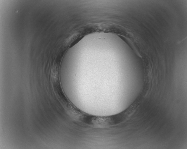 X0000080110129200612301953