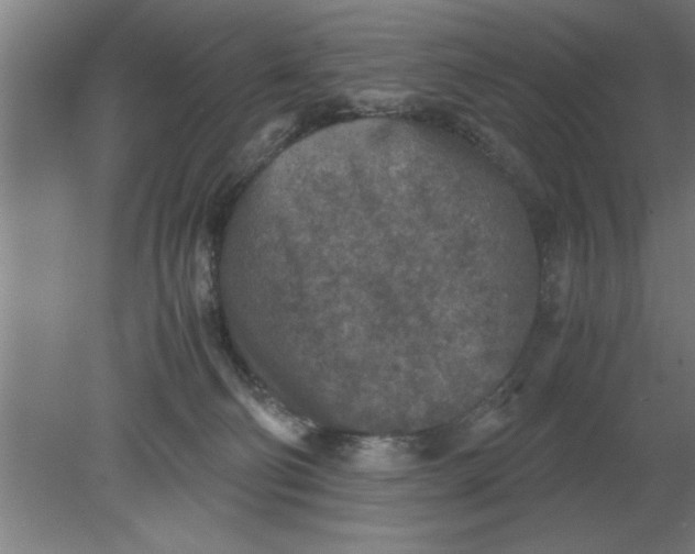 X0000080110130200612301953