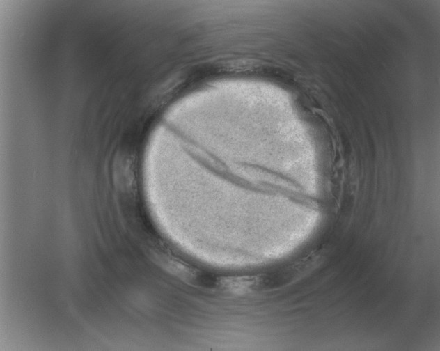 X0000080110131200612301953