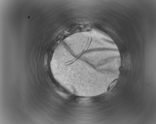 X0000080110132200612301953