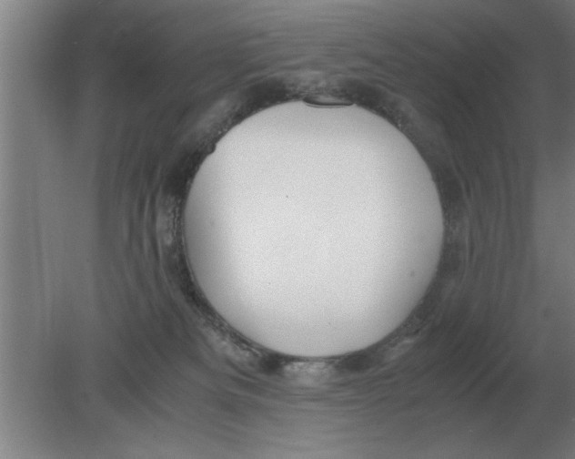 X0000080110133200612301953