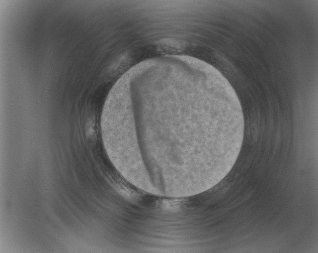 X0000080110134200612301953