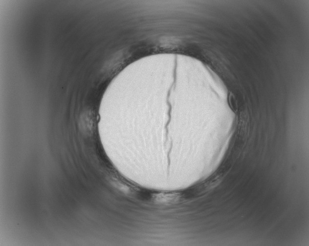 X0000080110135200612301953