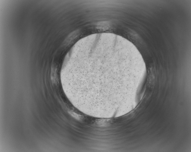 X0000080110136200612301953