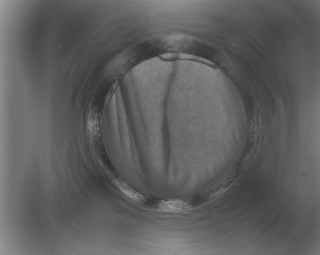 X0000080110137200612301953