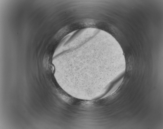 X0000080110140200612301953