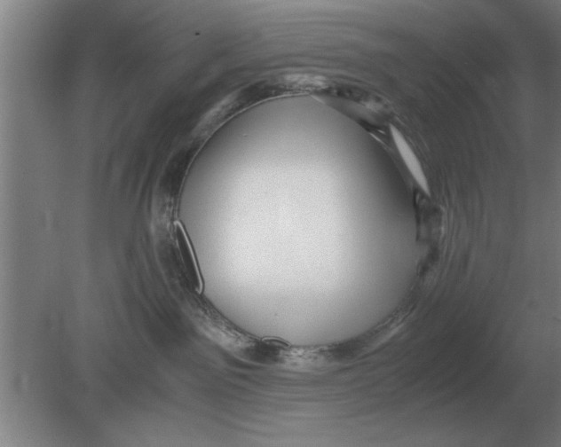 X0000080110141200612301953