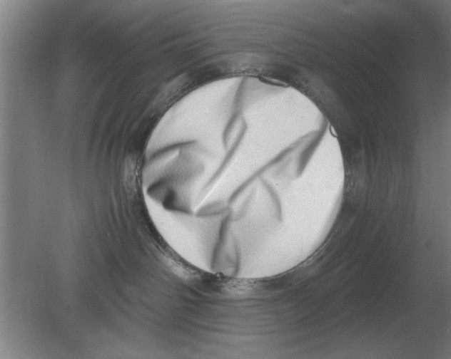 X0000080110142200612301953