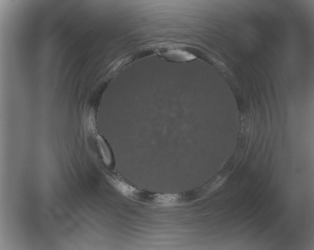 X0000080110143200612301953