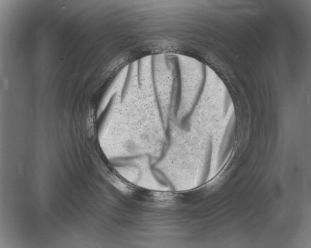 X0000080110144200612301953