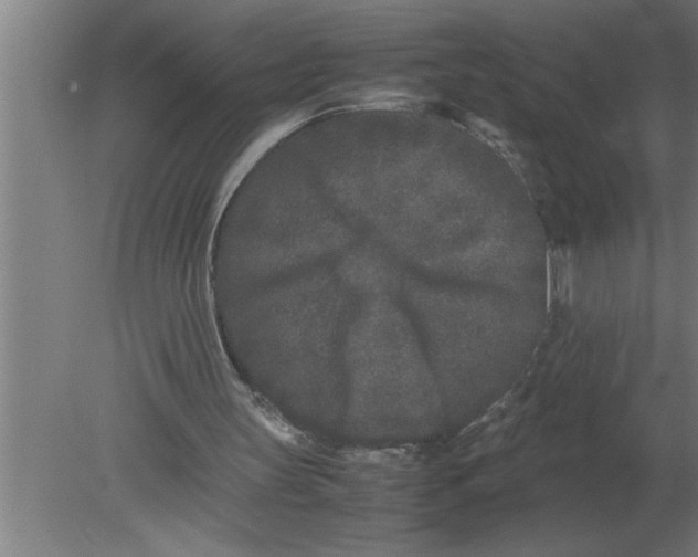 X0000080110147200612301952