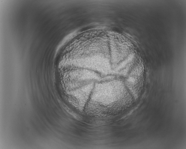 X0000080110149200612301952