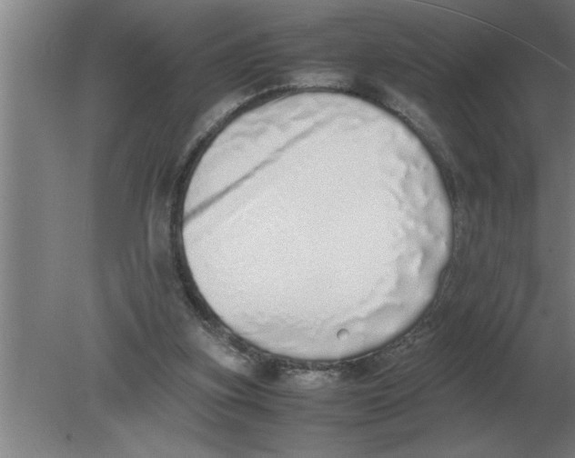 X0000080110155200612301953