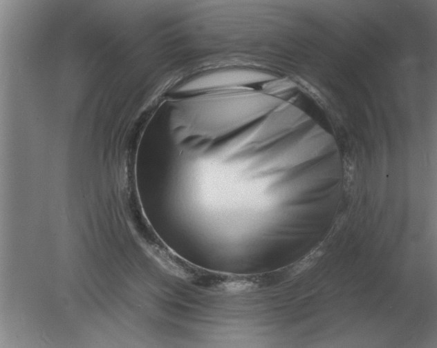 X0000080110158200612301953