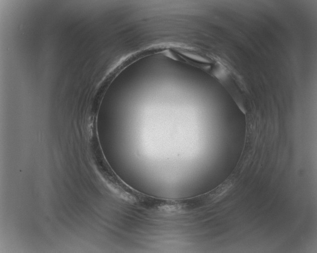 X0000080110160200612301953